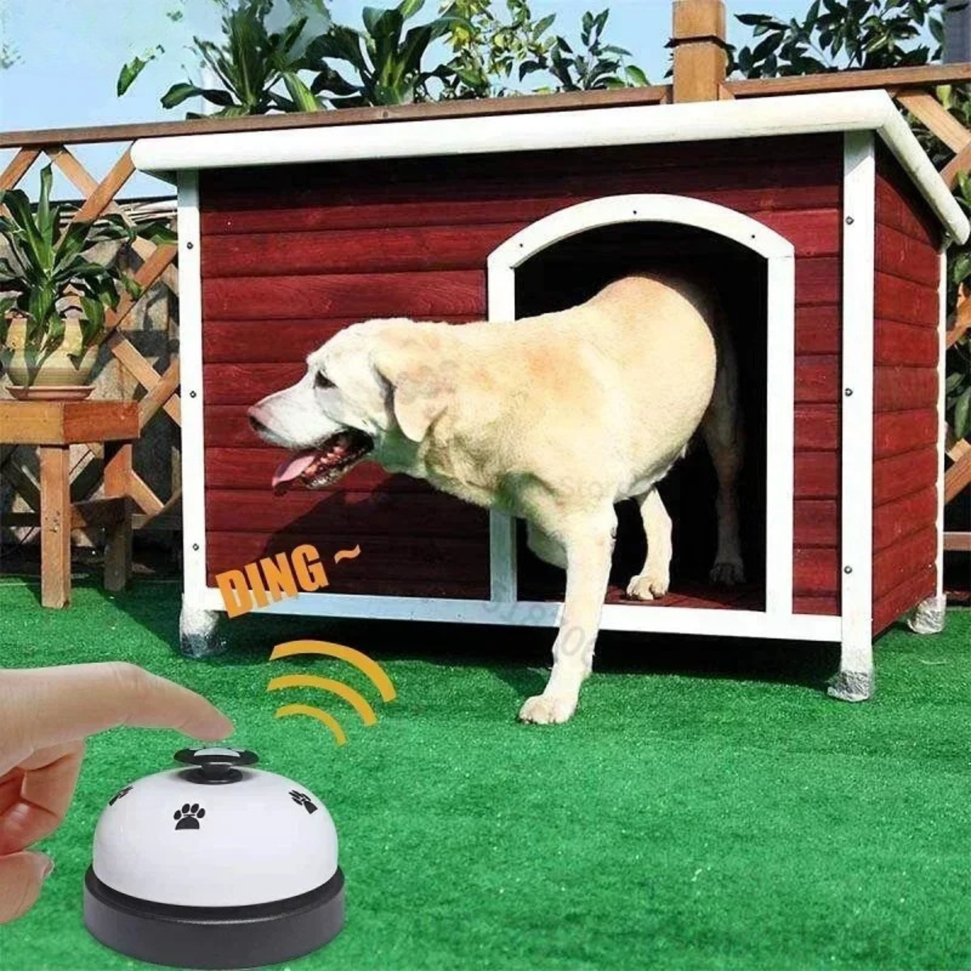 Dzwonek treningowy PawPartner