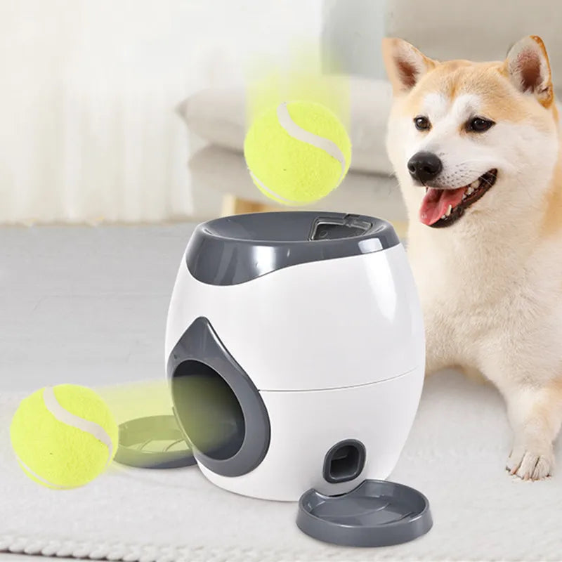 Trener psów Smart Ball
