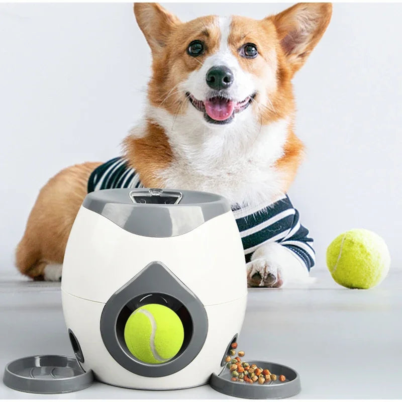 Trener psów Smart Ball